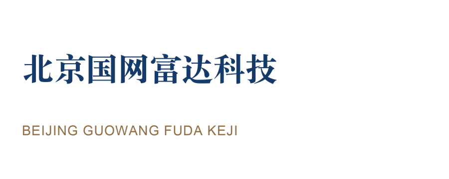 北京国网富达科技