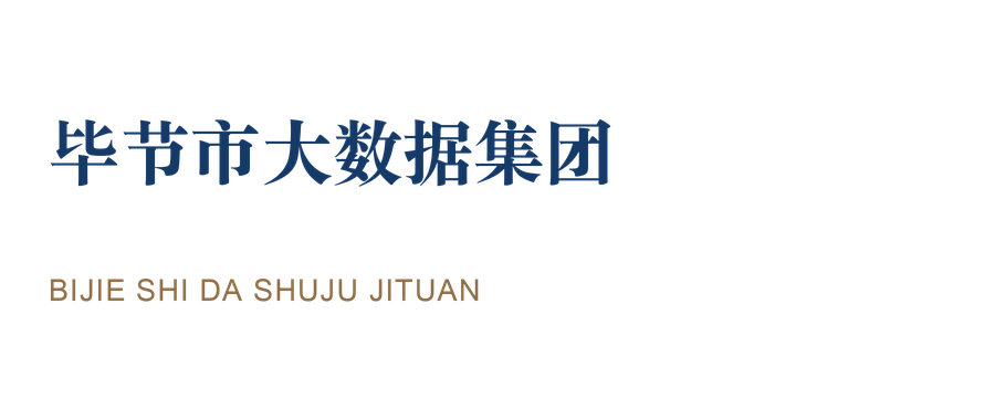 毕节市大数据集团