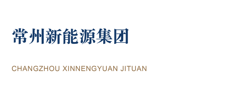 常州新能源集团