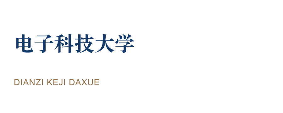电子科技大学