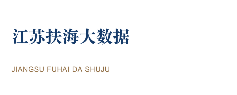 江苏扶海大数据