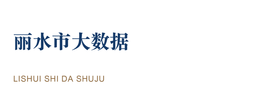 丽水市大数据