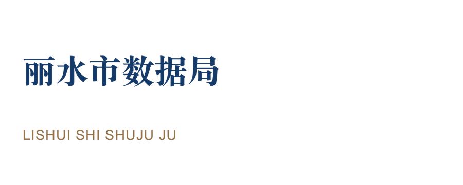 丽水市数据局