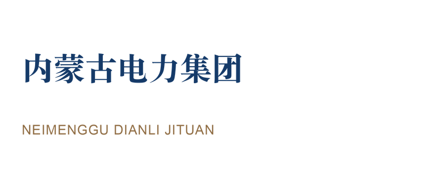 内蒙古电力集团
