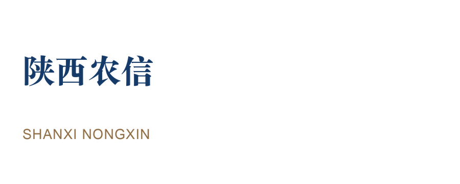 陕西农信