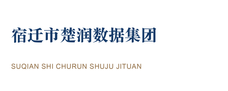 宿迁市楚润数据集团