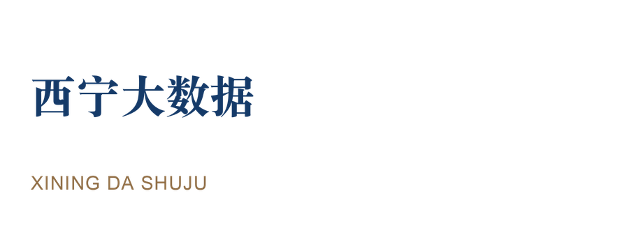 西宁大数据