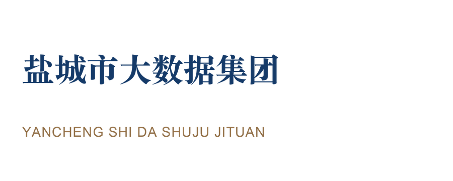盐城市大数据集团