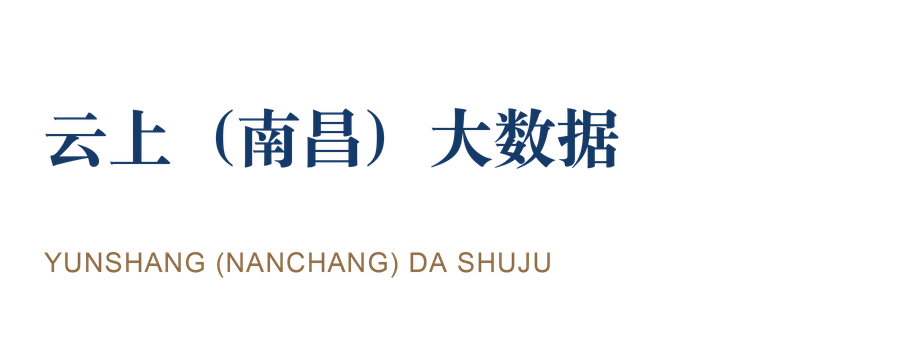 云上（南昌）大数据