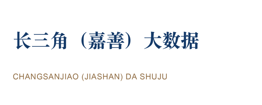 长三角(嘉善)大数据 · 数据集团 长三角(嘉善)大数据